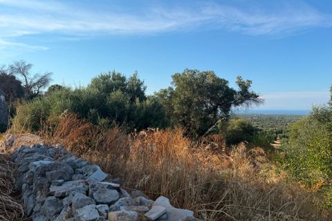 Landejendom i Cisternino, Brindisi, Cisternino - € 1.111.111 | Ref: 381 - foto 50